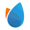 Blue Badam logo