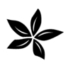 Blossom Coffee logo