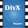 DivXRepair logo