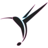 Colibri Lossless logo