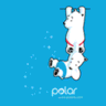 Polar Polls logo