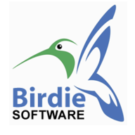 Birdie MSG to PST Converter logo