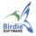Birdie MSG to PST Converter logo