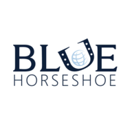 Blue Horseshoe Implementation Services logo