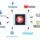TubeMogul icon
