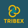 Tribex Consulting logo